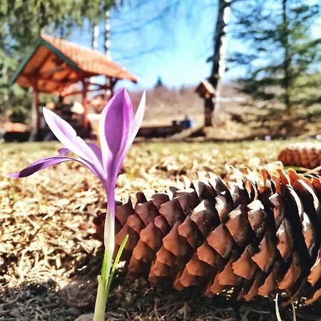 Sunny Hill Kuca Za Odmor Na Zlataru * Vukovina