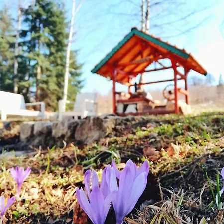 Sunny Hill Kuca Za Odmor Na Zlataru Holiday home *
