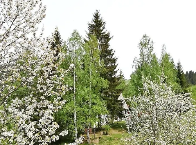 Sunny Hill Kuca Za Odmor Na Zlataru * Vukovina