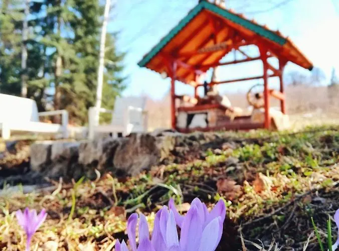 Sunny Hill Kuca Za Odmor Na Zlataru 度假居 *